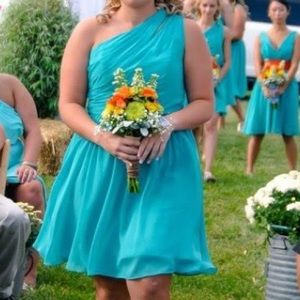 Teal dress 12
